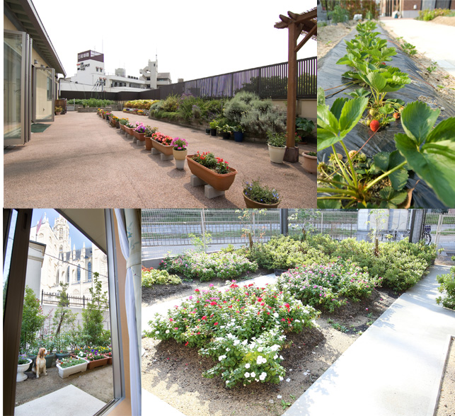 兵庫県の有料老人ホーム 花壇・菜園スペース